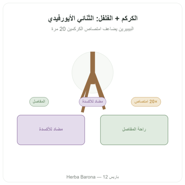 كركم وفلفل – Ayur-vana – 60 كبسولة عرض المنتج Paris Herba Barona
