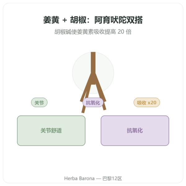 姜黄胡椒 – Ayur-vana – 60粒胶囊 产品展示 Paris Herba Barona