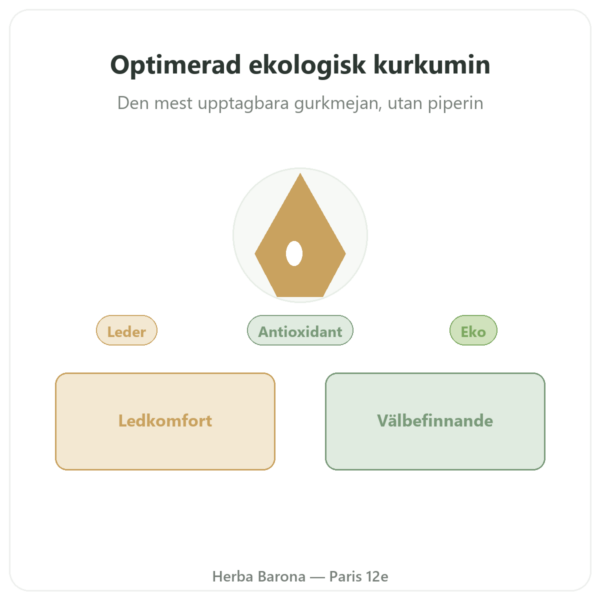 Optimerat ekologiskt curcumin 60 kapslar Dynveo presentation Paris Herba Barona