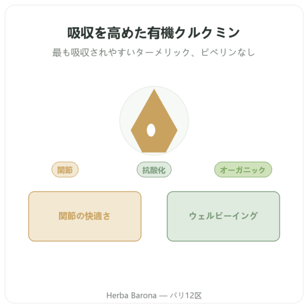 オーガニック 高吸収クルクミン 60カプセル Dynveo presentation Paris Herba Barona