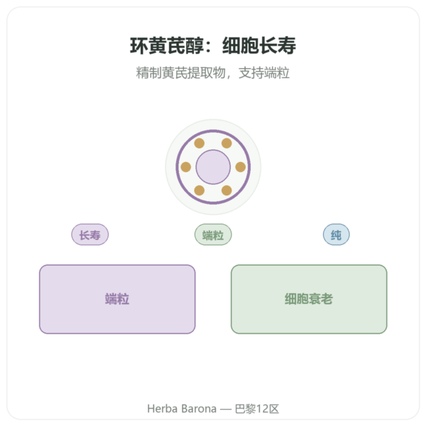 Dynveo 纯环黄芪醇 60 粒胶囊 产品展示 Paris Herba Barona
