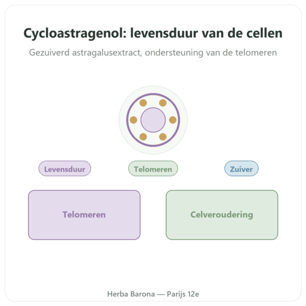 Zuiver Cycloastragenol Dynveo 60 Capsules presentatie Paris Herba Barona