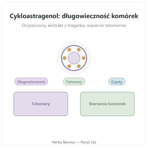 Cykloastragenol czysty Dynveo 60 kapsułek prezentacja Paris Herba Barona