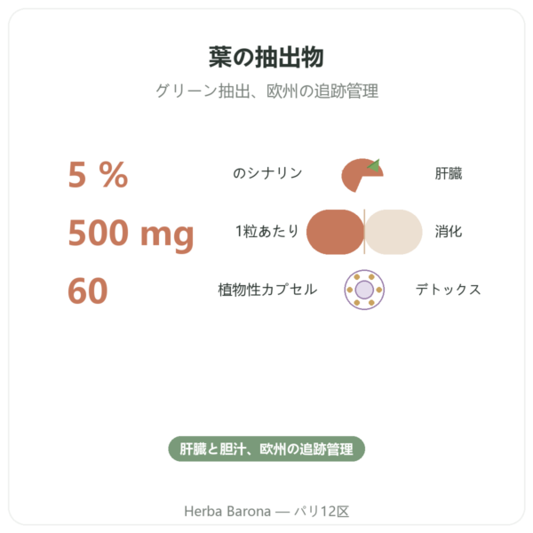 アーティチョーク 500 mg(シナリン5%)60カプセル Dynveo benefits and key facts Paris Herba Barona