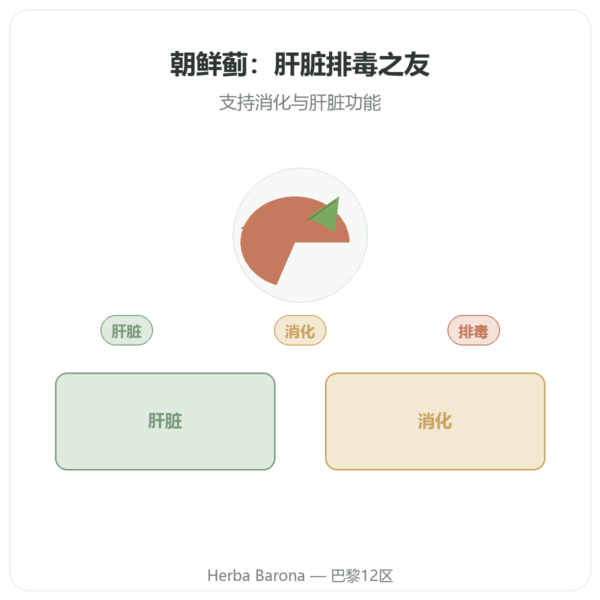 洋蓟 500 mg(5% 洋蓟素)60 粒 Dynveo 产品展示 Paris Herba Barona