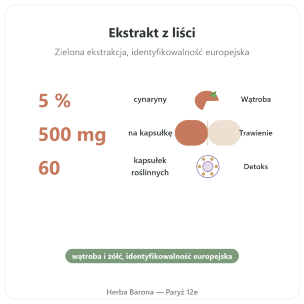 Karczoch 500 mg (5% cynaryny) 60 kaps. Dynveo korzyści i najważniejsze fakty Paris Herba Barona