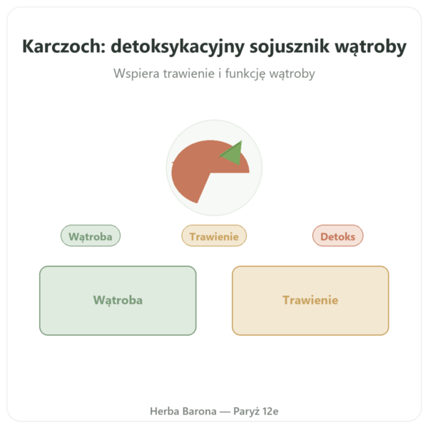 Karczoch 500 mg (5% cynaryny) 60 kaps. Dynveo prezentacja Paris Herba Barona