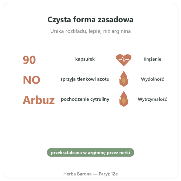 Cytrulina L-Cytrulina Base – Nutrimuscle 90 kapsułek korzyści i najważniejsze fakty Paris Herba Barona