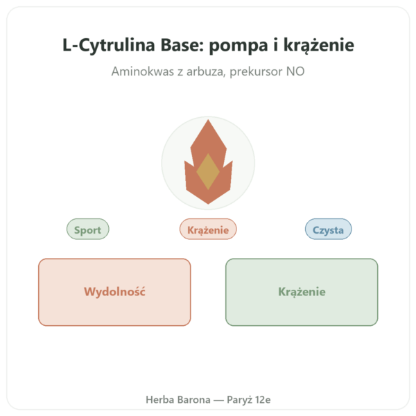 Cytrulina L-Cytrulina Base – Nutrimuscle 90 kapsułek prezentacja Paris Herba Barona
