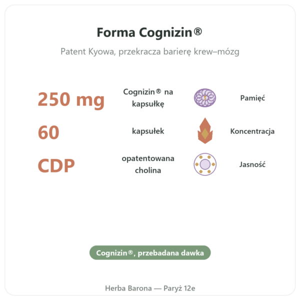 Cytykolina Cognizin® : CDP Cholina – Dynveo – 60 kapsułek korzyści i najważniejsze fakty Paris Herba Barona