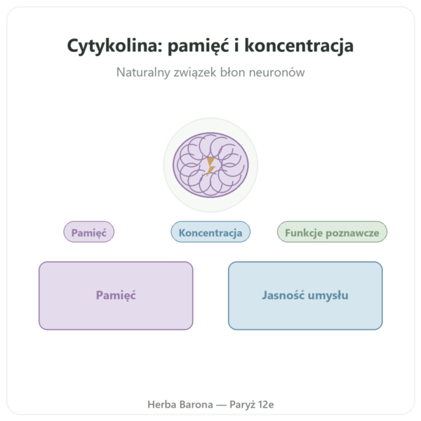 Cytykolina Cognizin® : CDP Cholina – Dynveo – 60 kapsułek prezentacja Paris Herba Barona