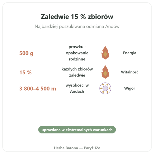Czarna Maca Bio w Proszku – Energy Feelings – 500 g korzyści i najważniejsze fakty Paris Herba Barona