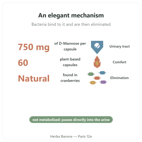 D-Mannose 750 – Be-Life – 60 capsules benefits and key facts Paris Herba Barona