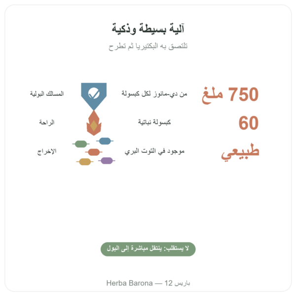 D-Mannose 750 – Be-Life – 60 كبسولة الفوائد والمعطيات الرئيسية Paris Herba Barona