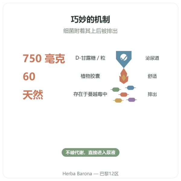 D-甘露糖750 – Be-Life – 60粒胶囊 功效与数据 Paris Herba Barona