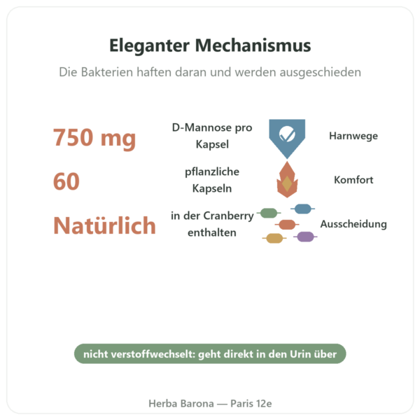 D-Mannose 750 – Be-Life – 60 Kapseln Vorteile und Fakten Paris Herba Barona