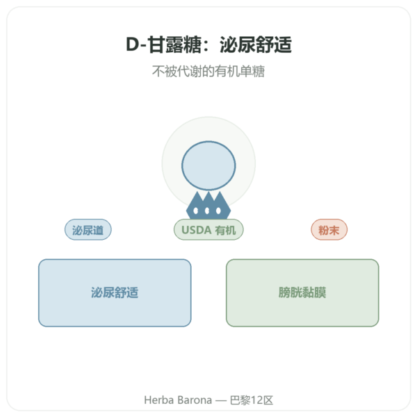 D-甘露糖纯粉末有机版 — NOW Foods — 85 g 产品展示 Paris Herba Barona