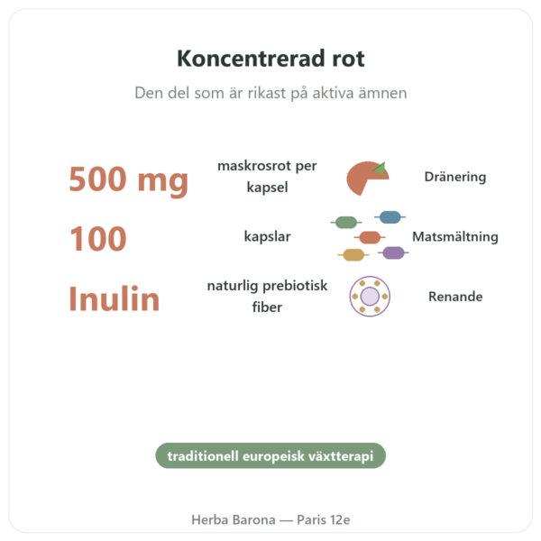 Dandelion Root Maskrosrot 500 mg Now Foods 100 kapslar – Köp fördelar och nyckelfakta Paris Herba Barona