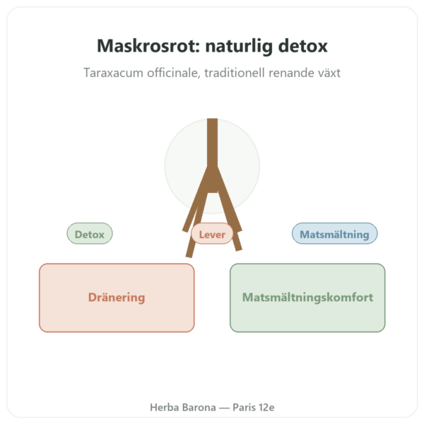 Dandelion Root Maskrosrot 500 mg Now Foods 100 kapslar – Köp presentation Paris Herba Barona