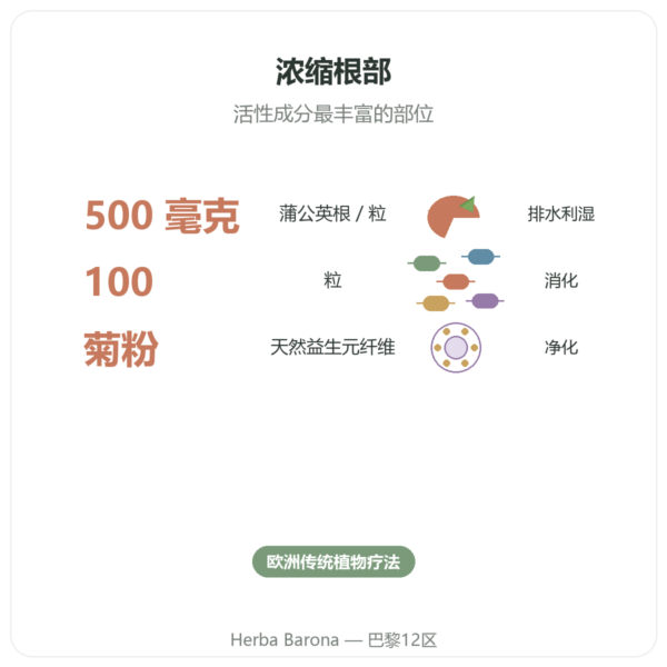 Dandelion Root 蒲公英根 500 mg Now Foods 100粒 - 购买 功效与数据 Paris Herba Barona