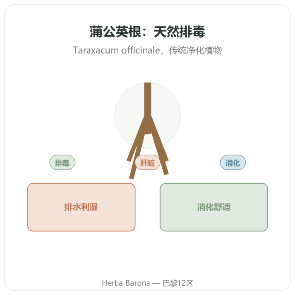 Dandelion Root 蒲公英根 500 mg Now Foods 100粒 - 购买 产品展示 Paris Herba Barona