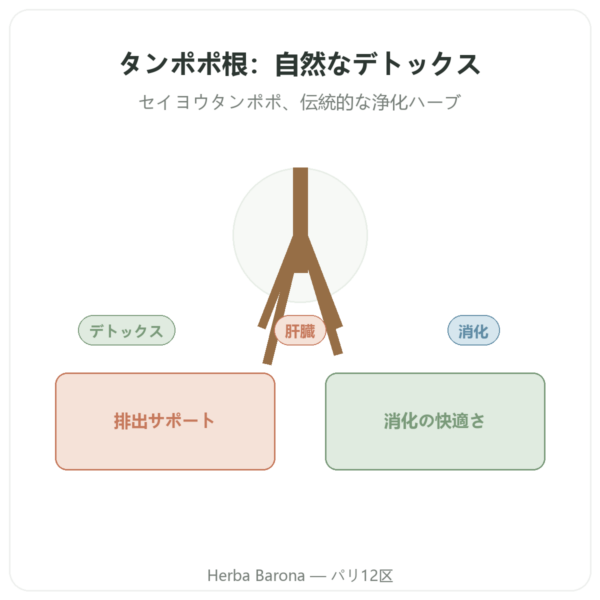 Dandelion Root タンポポ根 500 mg Now Foods 100カプセル presentation Paris Herba Barona