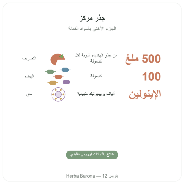 جذر الهندباء البري 500 mg – Now Foods – 100 قرص الفوائد والمعطيات الرئيسية Paris Herba Barona