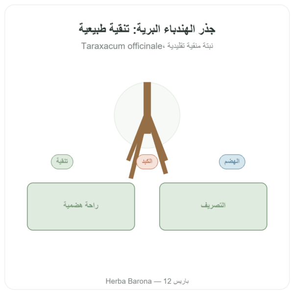 جذر الهندباء البري 500 mg – Now Foods – 100 قرص عرض المنتج Paris Herba Barona