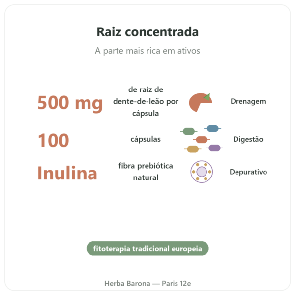 Dandelion Root Raiz de Dente-de-leão 500 mg Now Foods 100 Cáps. benefícios e dados principais Paris Herba Barona