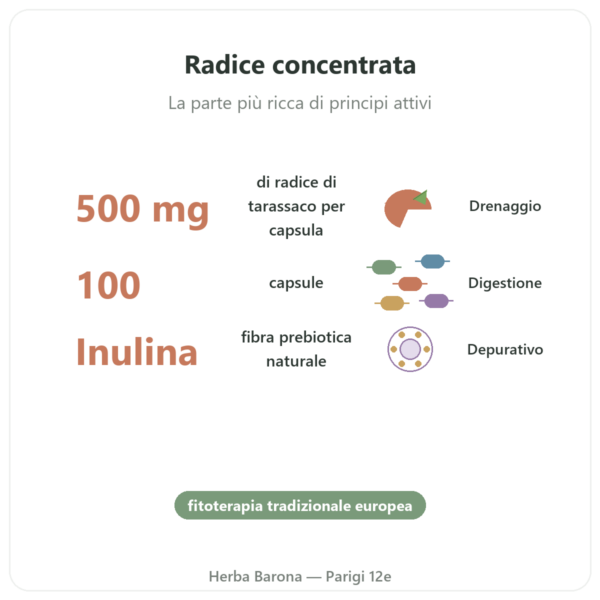 Dandelion Root Radice di Tarassaco 500mg Now Foods 100 Capsule benefici e dati chiave Paris Herba Barona