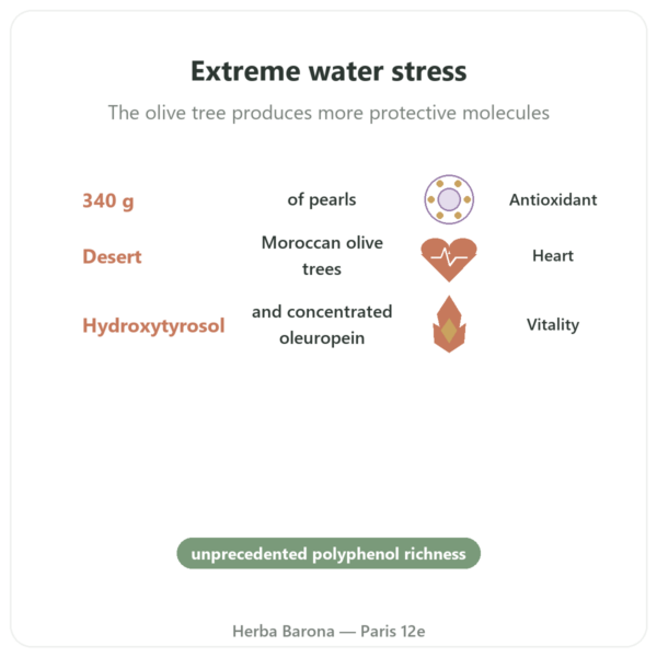 Desert Olive Tree Pearls - NaturaMedicatrix - 340g benefits and key facts Paris Herba Barona
