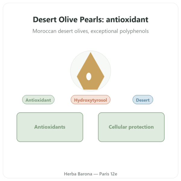 Desert Olive Tree Pearls - NaturaMedicatrix - 340g presentation Paris Herba Barona