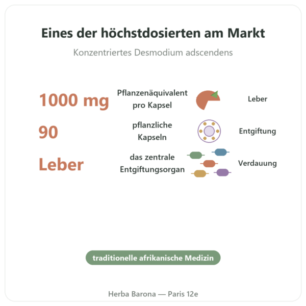 Desmodium 1000 – Be-Life – 90 Kapseln Vorteile und Fakten Paris Herba Barona
