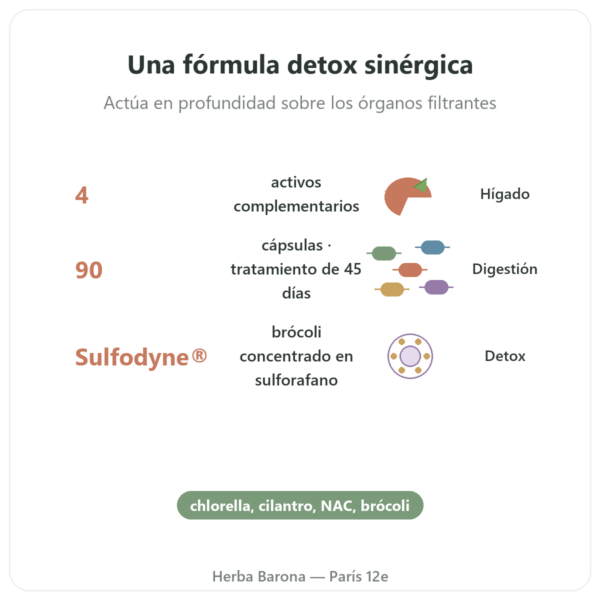 Detox Naturamedicatrix – 90 Cápsulas – Hígado y Digestión beneficios y datos clave Paris Herba Barona