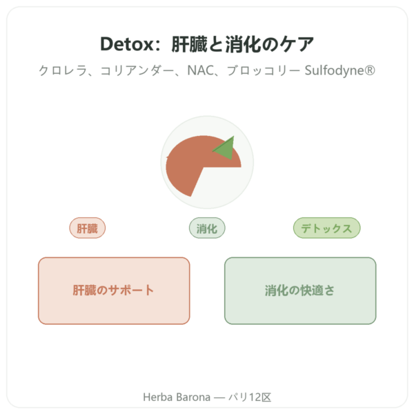 デトックス Naturamedicatrix – 90カプセル – 肝臓と消化に presentation Paris Herba Barona