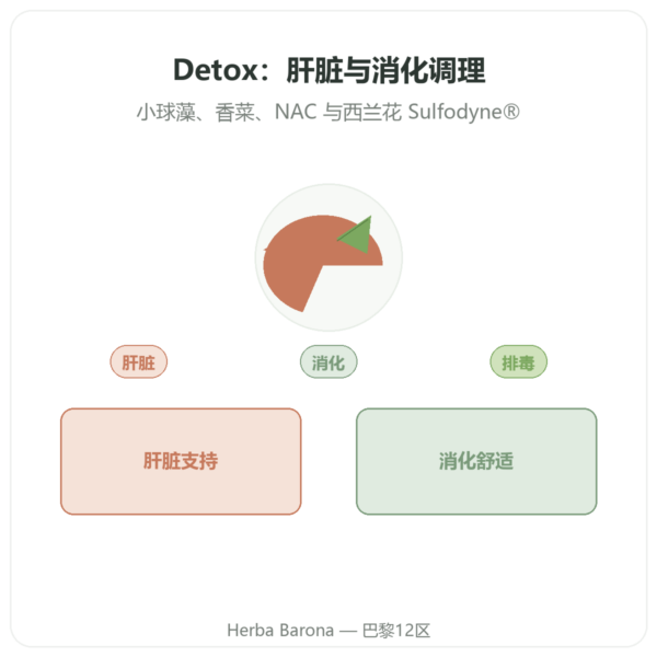 Naturamedicatrix Detox - 90粒胶囊 - 肝脏与消化 产品展示 Paris Herba Barona