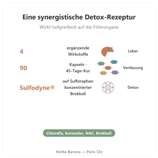 Detox Naturamedicatrix – 90 Kapseln – Leber & Verdauung Vorteile und Fakten Paris Herba Barona