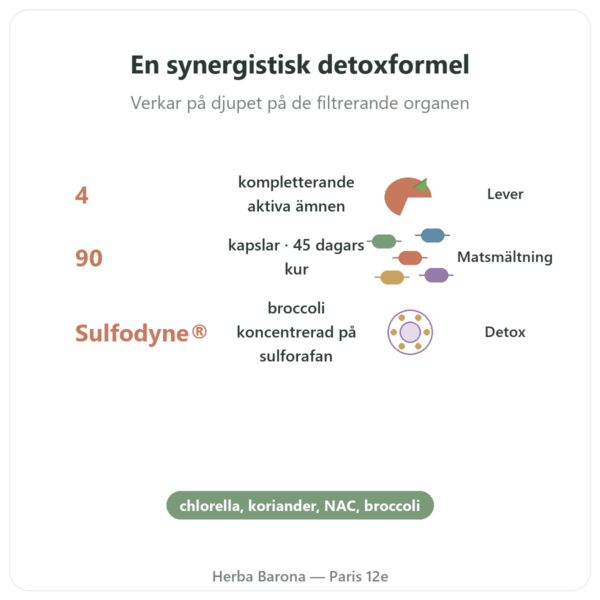 Detox Naturamedicatrix - 90 kapslar - Lever och matsmältning fördelar och nyckelfakta Paris Herba Barona