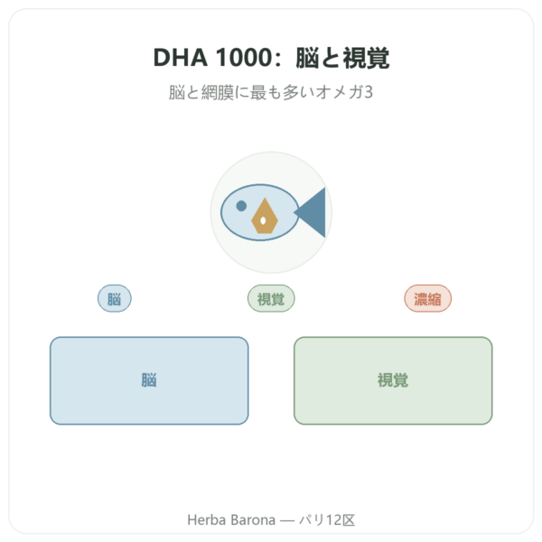DHA 1000 mg – NOW Foods – ソフトカプセル90粒 presentation Paris Herba Barona
