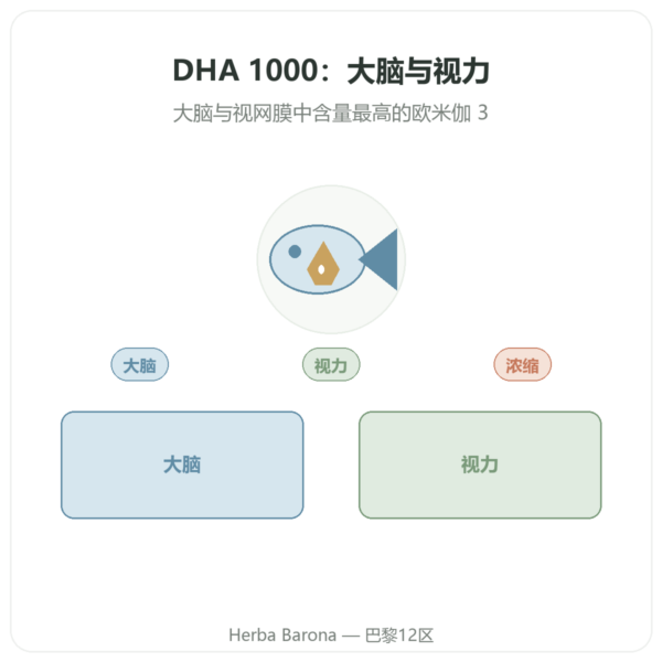 DHA 1000毫克 – NOW Foods – 90粒软胶囊 产品展示 Paris Herba Barona