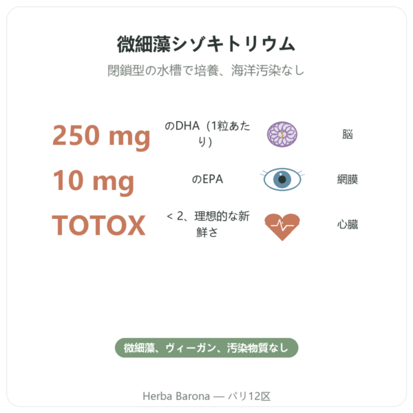 Dynveo 植物性DHA 250mg 60カプセル benefits and key facts Paris Herba Barona