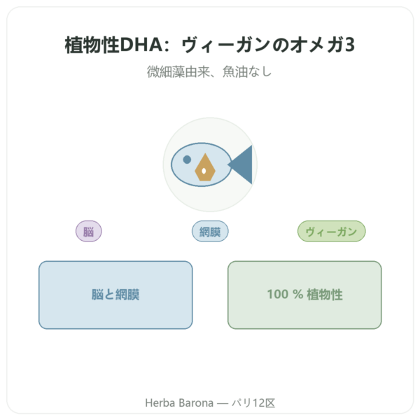 Dynveo 植物性DHA 250mg 60カプセル presentation Paris Herba Barona