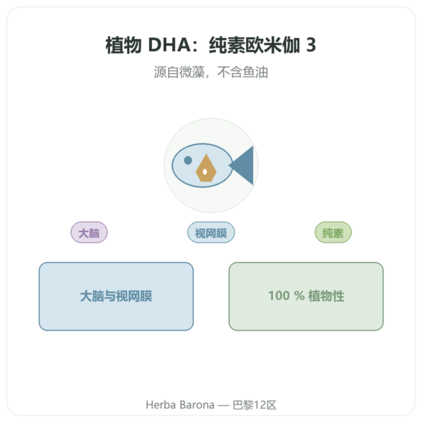 植物 DHA 250mg/ 60 粒胶囊 – Dynveo 产品展示 Paris Herba Barona