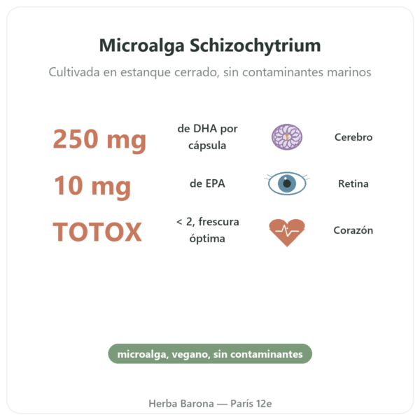 DHA vegetal 250mg – 60 cápsulas – Dynveo beneficios y datos clave Paris Herba Barona