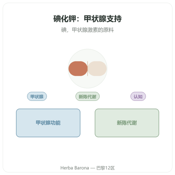 碘化钾 – Dynveo – 60粒胶囊 产品展示 Paris Herba Barona