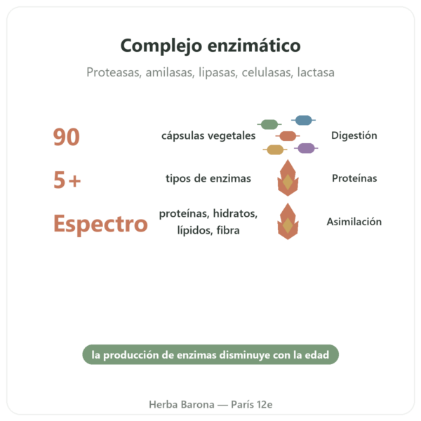 Digestive Enzymes – 90 Cápsulas – Doctor's Best beneficios y datos clave Paris Herba Barona