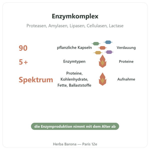 Digestive Enzymes – 90 Kapseln – Doctor's Best Vorteile und Fakten Paris Herba Barona