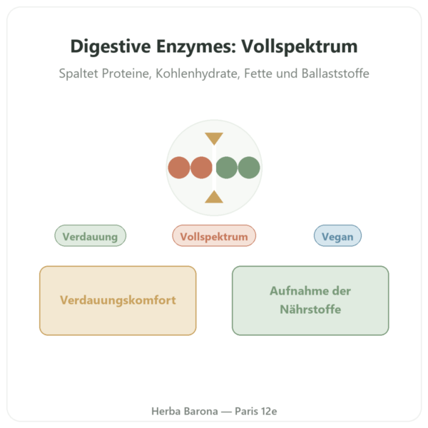 Digestive Enzymes – 90 Kapseln – Doctor's Best Vorstellung Paris Herba Barona