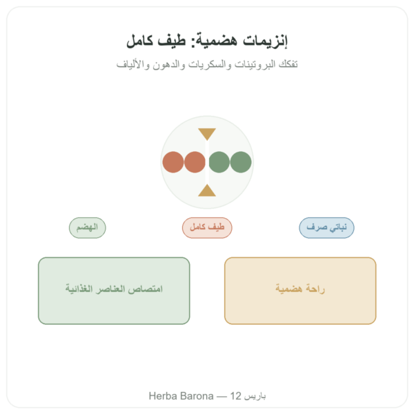 Digestive Enzymes – Doctor's Best – 90 كبسولة عرض المنتج Paris Herba Barona