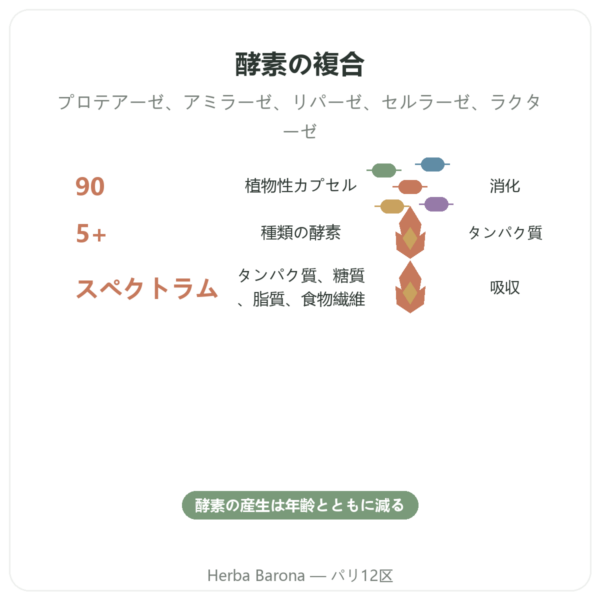 Digestive Enzymes(消化酵素) – 90カプセル – Doctor’s Best benefits and key facts Paris Herba Barona